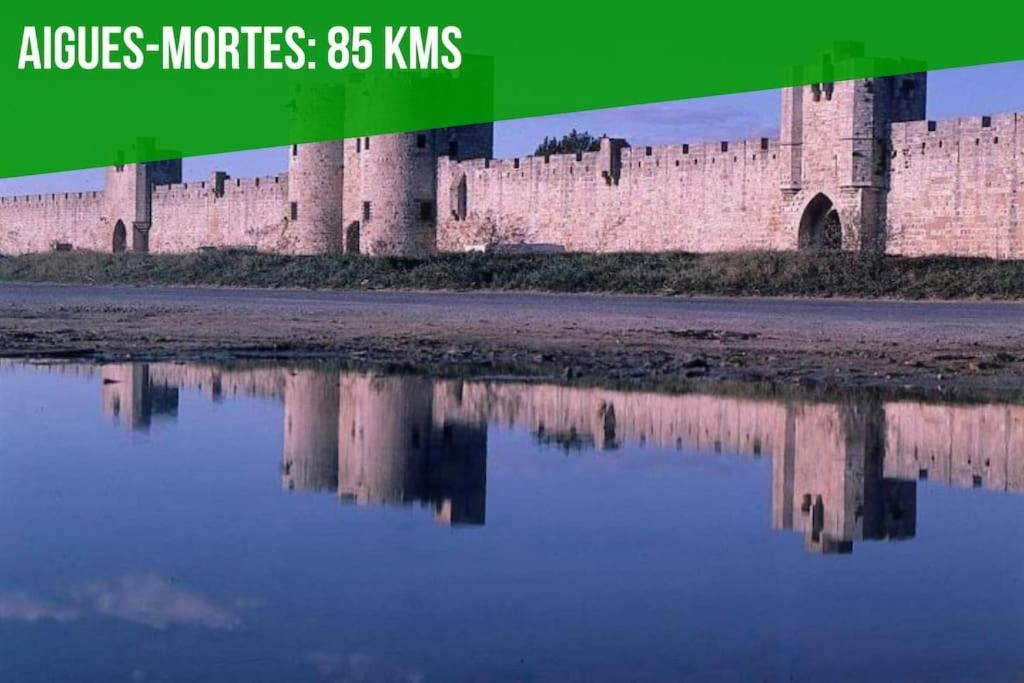 Les Felibres Appartement Avignon Buitenkant foto